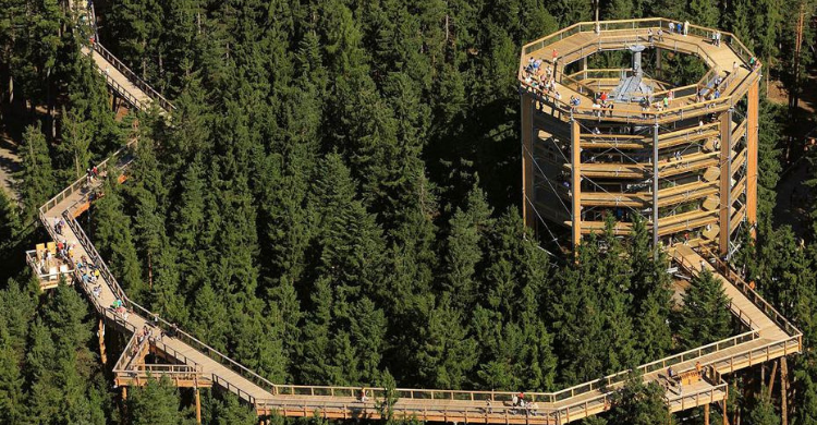 Massif des Vosges été 2021