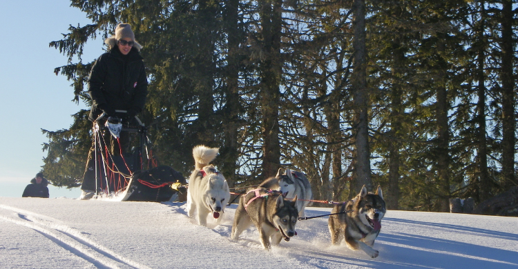 activités scandinavie francaise montagnes du Jura