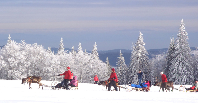 Massif des Vosges Balade avec rennes Lac Blanc(c) OT Kaysersberg