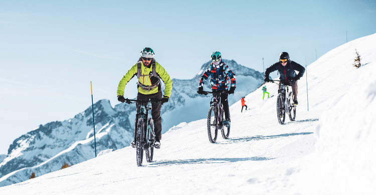 2alpes_-_vtt_sur_neige.png