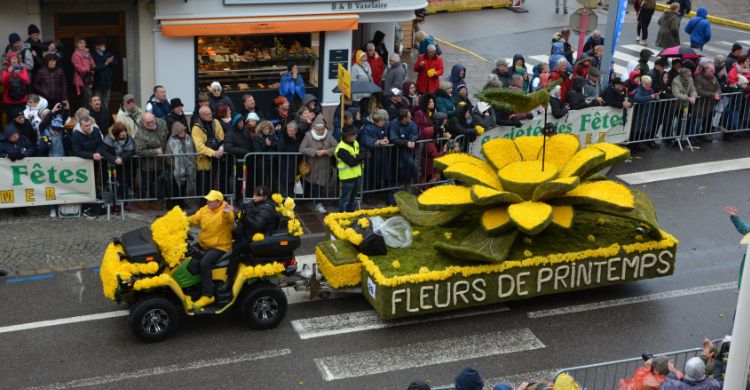 Jonquilles