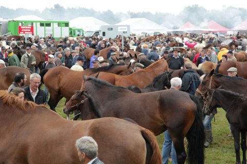 foire_de_lessay.jpg