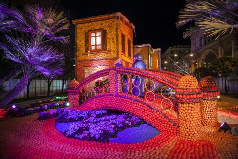les_jardins_de_lumieres_-_fete_du_citron.jpg