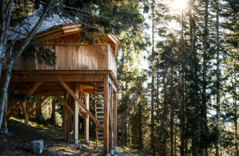 cabane_perchee.png