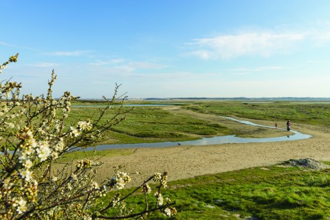de_dunes_en_baie_daigny_philippe-r_strphane_bouilland.jpg