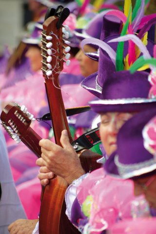 carnaval_albicvdt.jpg