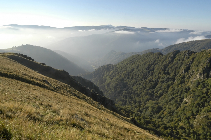 Hautes Vosges