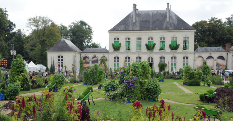 Folie des Plantes