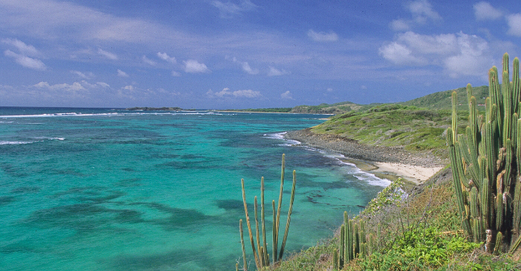 martinique