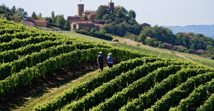 Auvergne-Rhône-Alpes_Vignobles