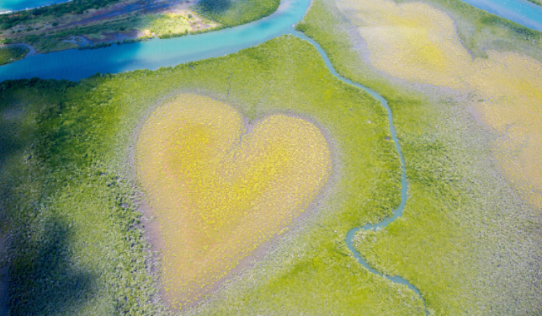 Coeur de Voh, Nouvelle Calédonie