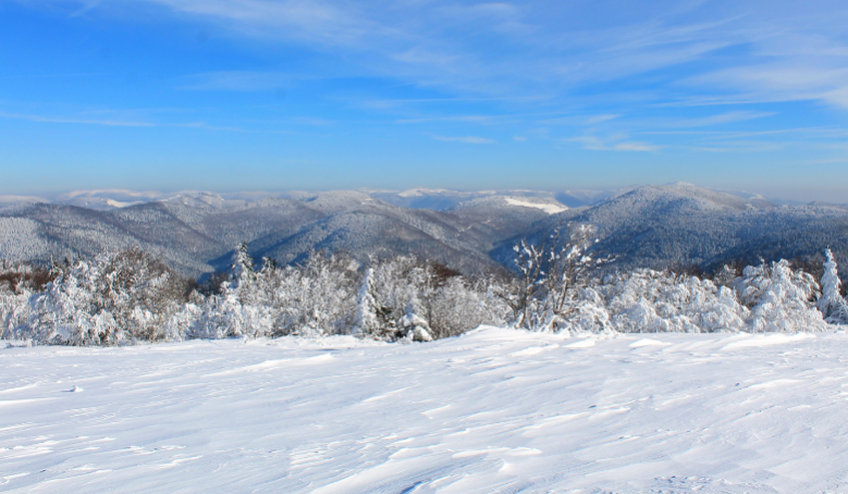 Massif des Vosges