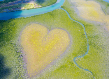 Coeur de Voh, Nouvelle Calédonie
