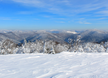 Massif des Vosges