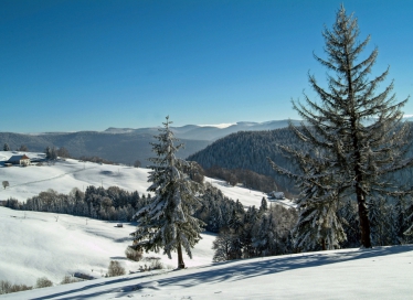 Massif des Vosges