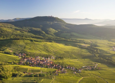 Route des Vins d'Alsace